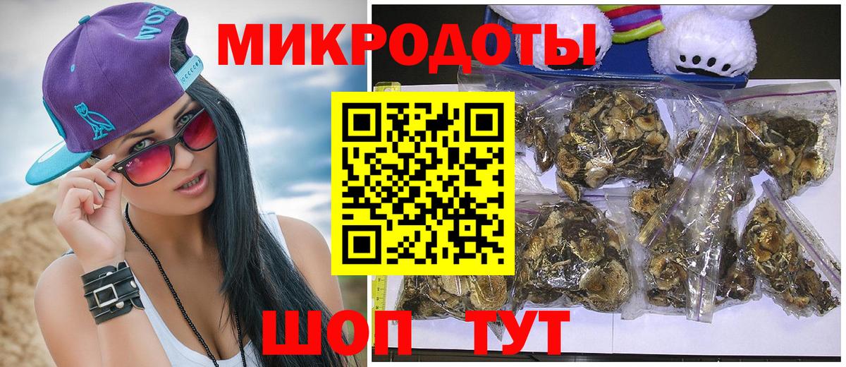 Галлюциногенные грибы Psilocybe Серпухов